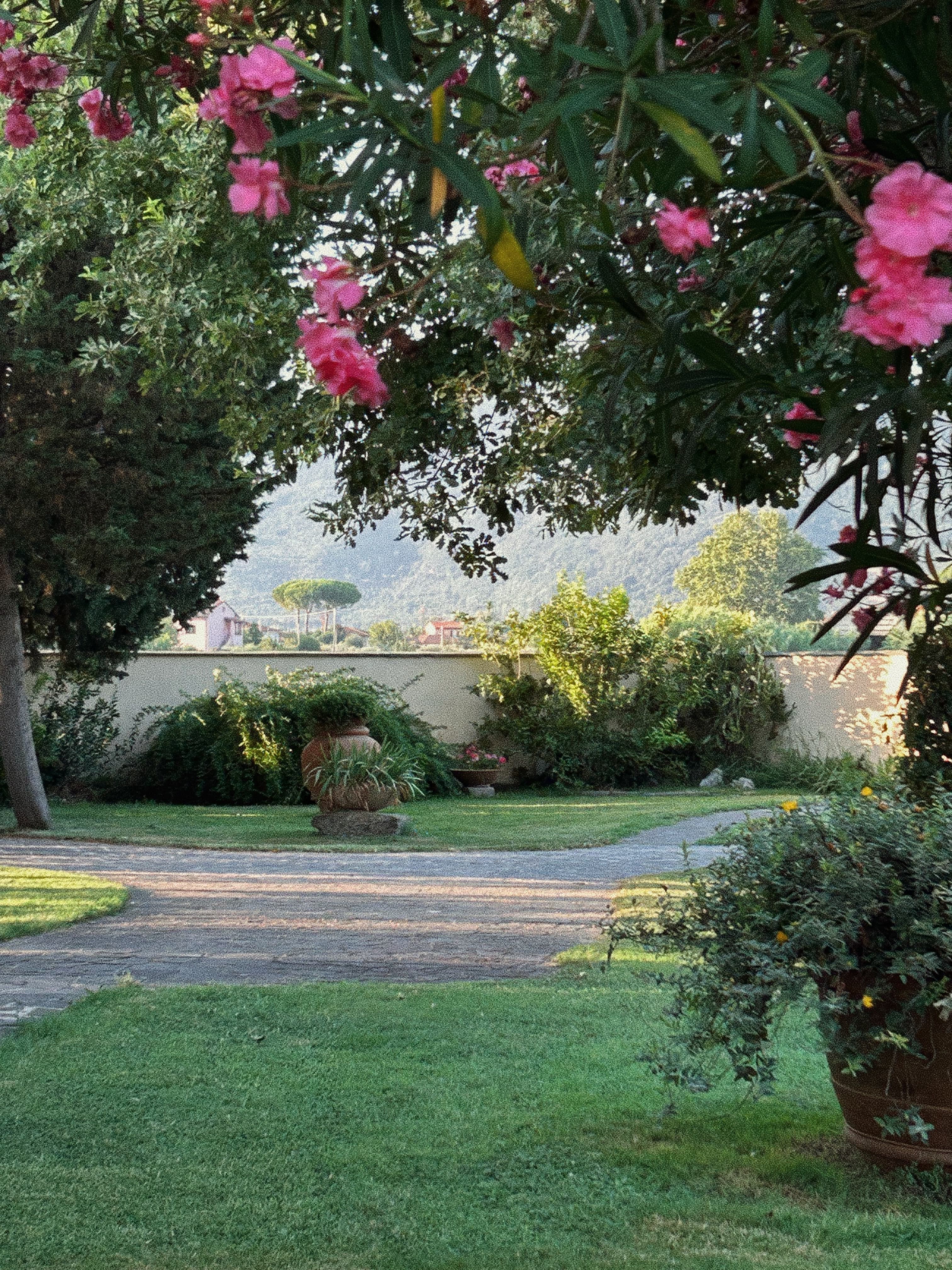 Morning garden at I Limori in the Tuscan countryside