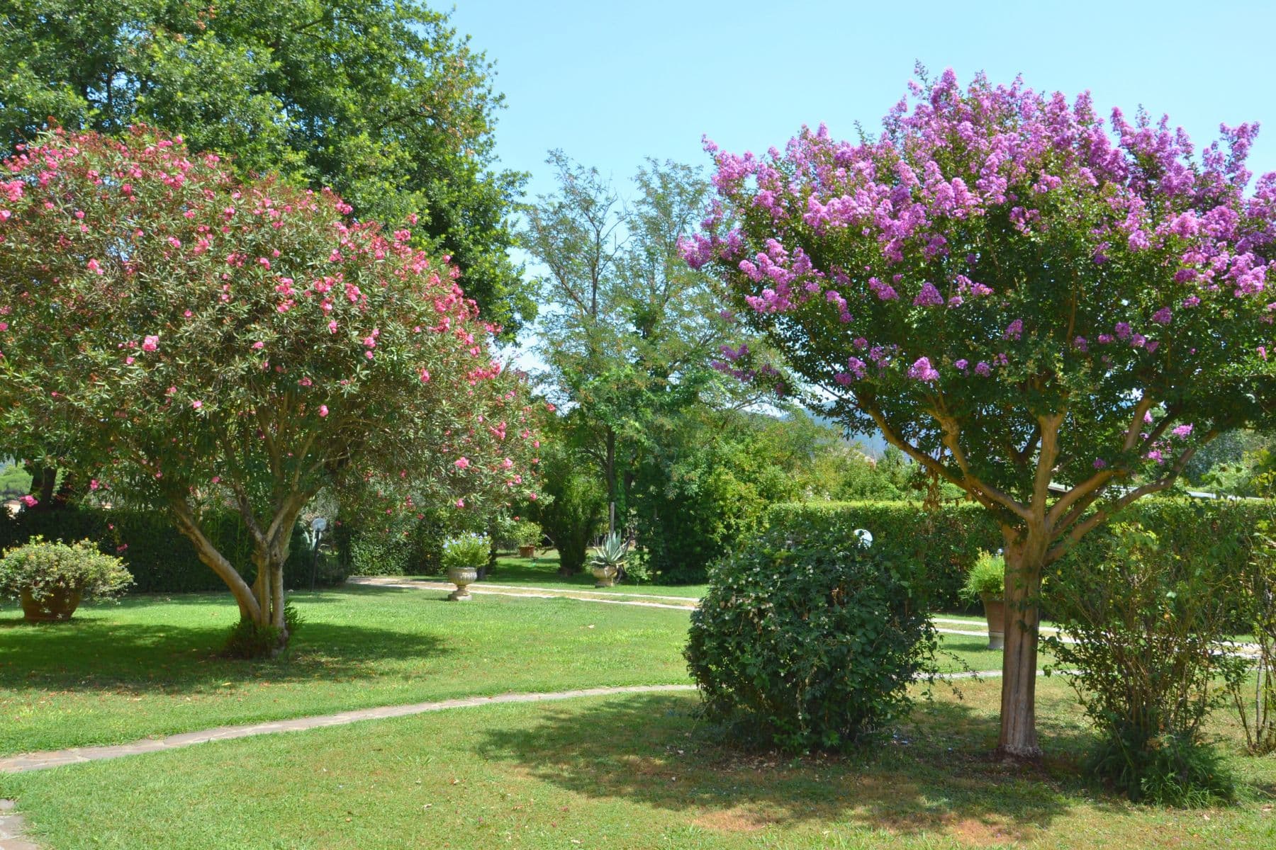 Garden at I Limori