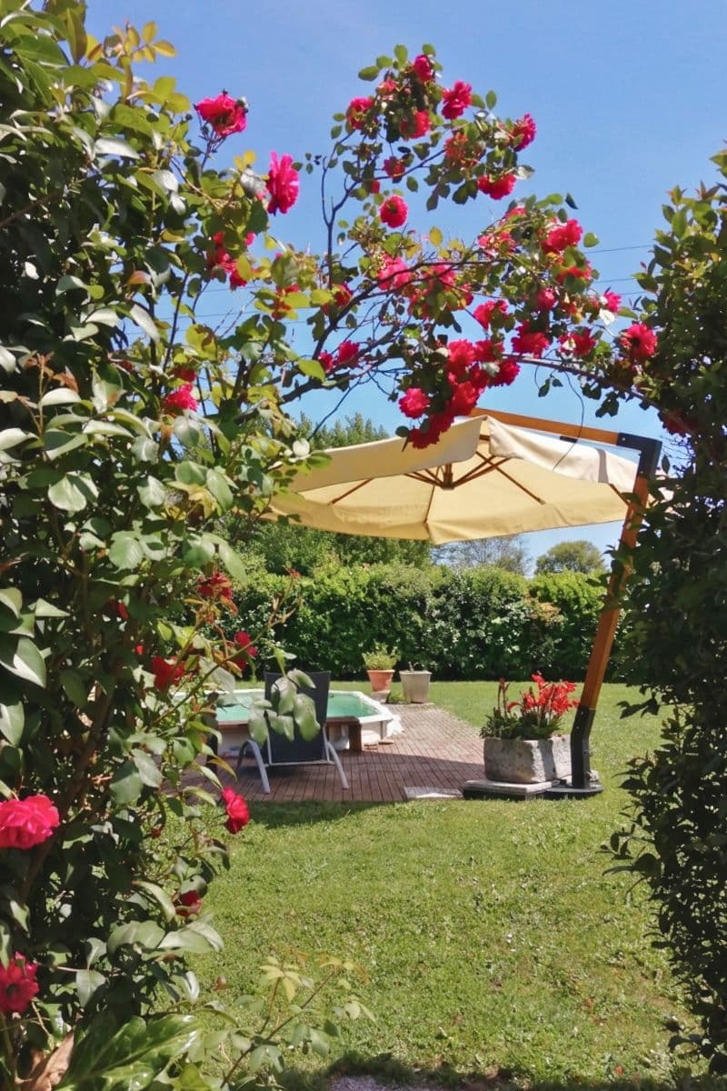 Outdoor spaces at I Limori
