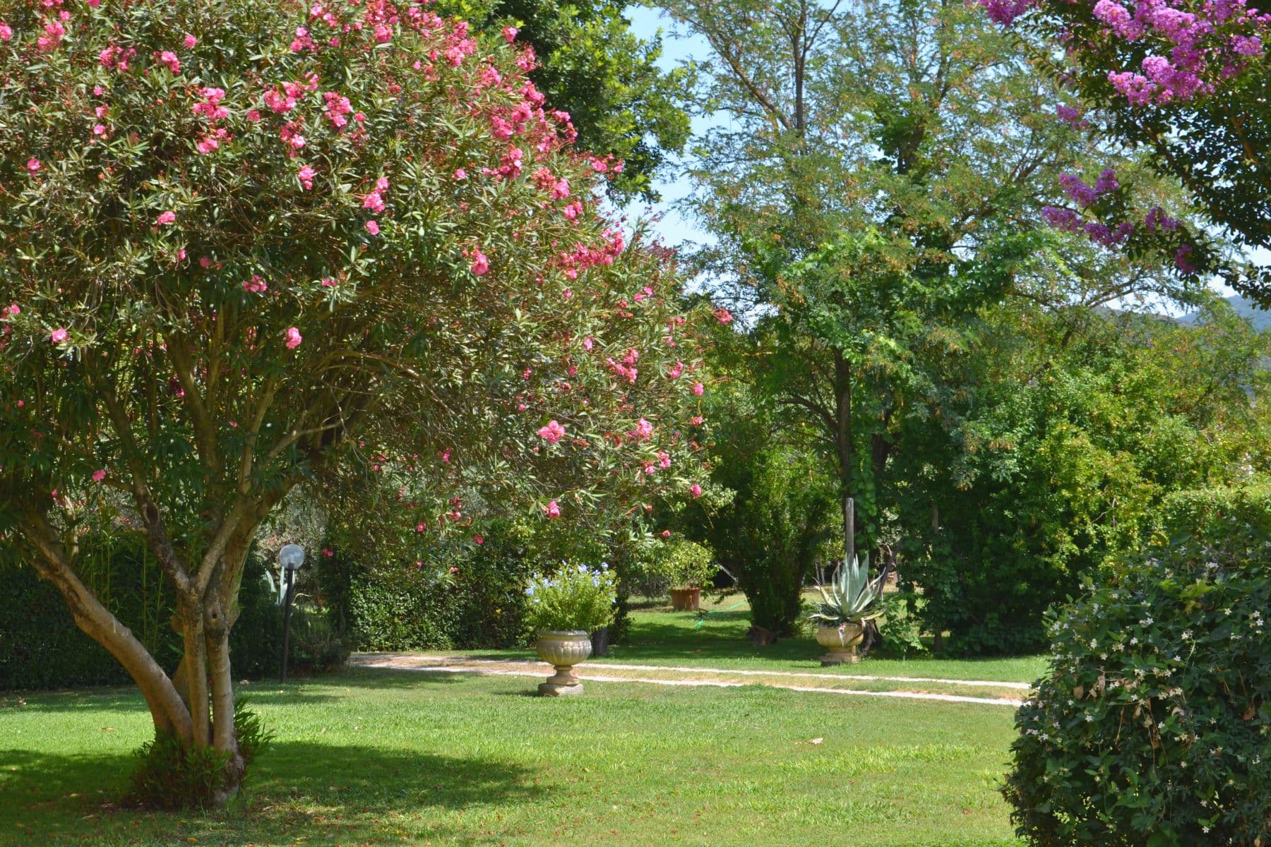 Garden at Casa I Limori