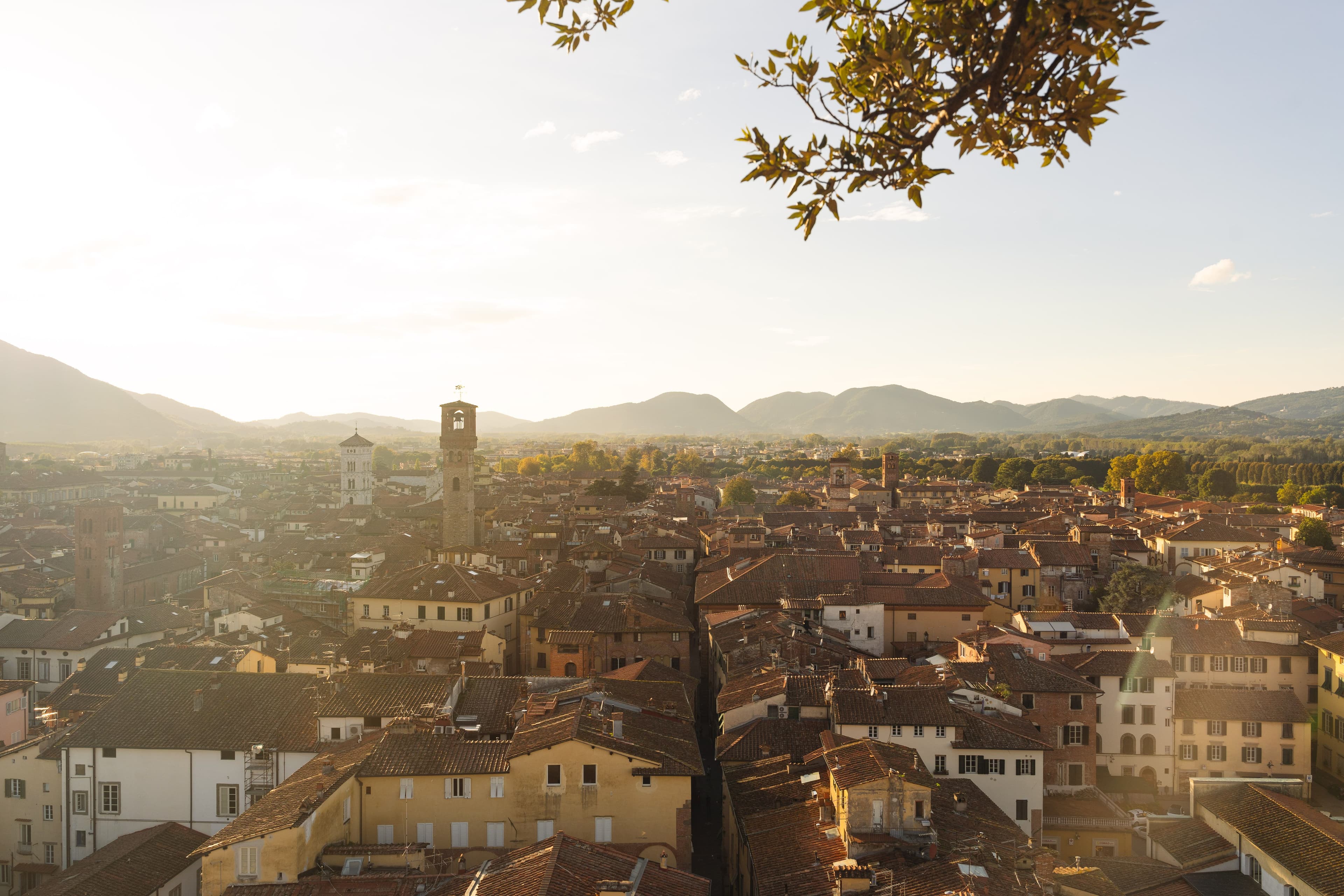 Panoramic view across the historic rooftops of Lucca